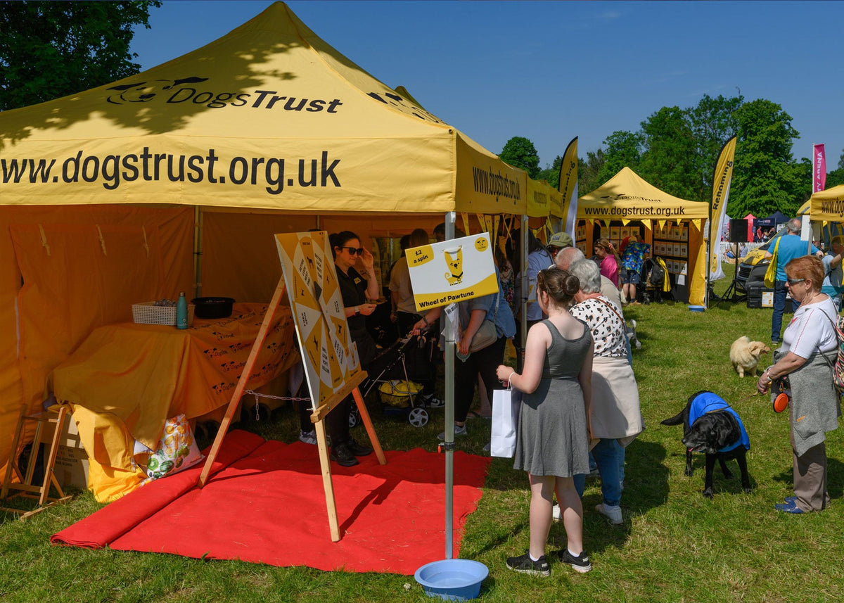 dogs trust event gazebos by surf & turf instant shelters