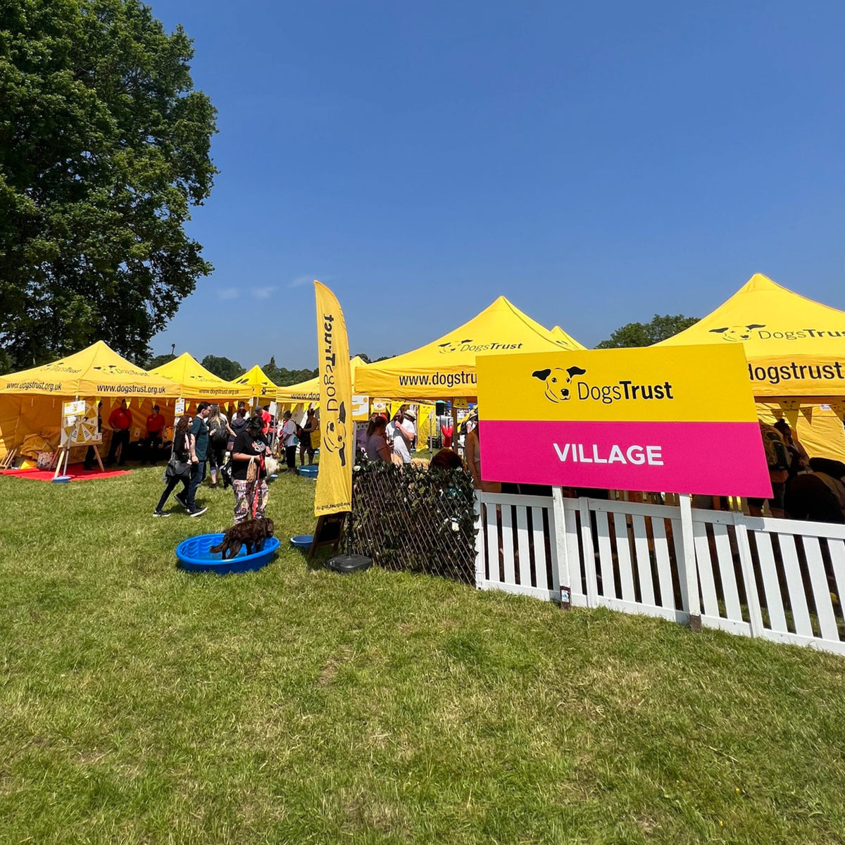Dogs Trust