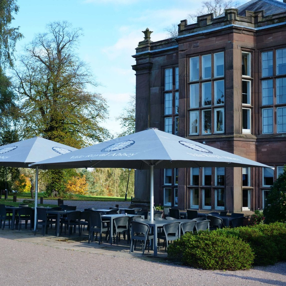Large Parasols